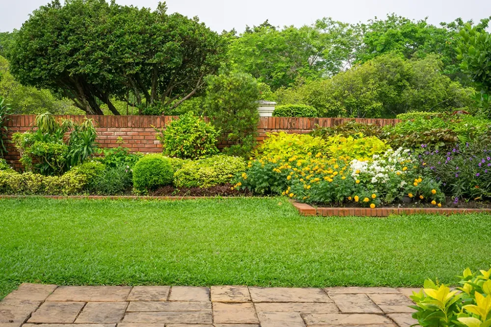 jardin entretenu