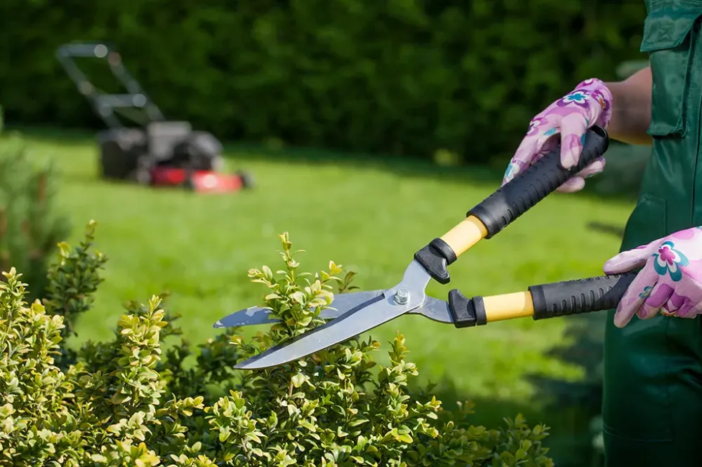Entretien jardin à Biercée